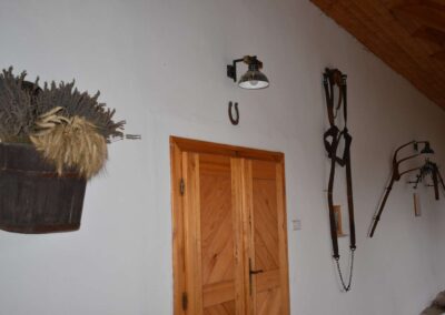Statek DĚRAVÁ BOTA (4)
